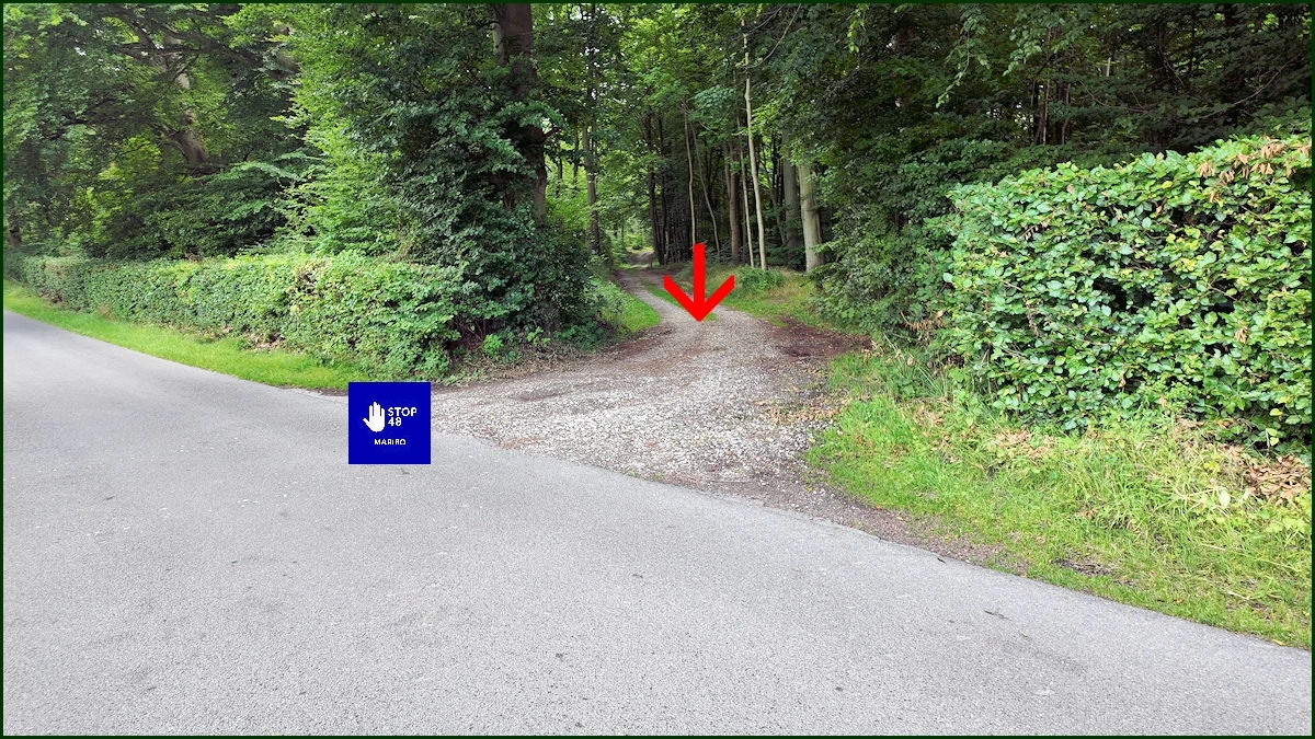 Skelnæs Pavillonens østlige adgangsvej